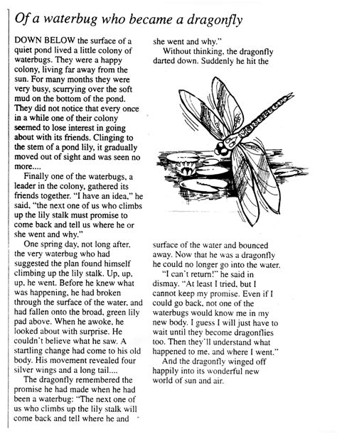 Dragonfly Story Printable